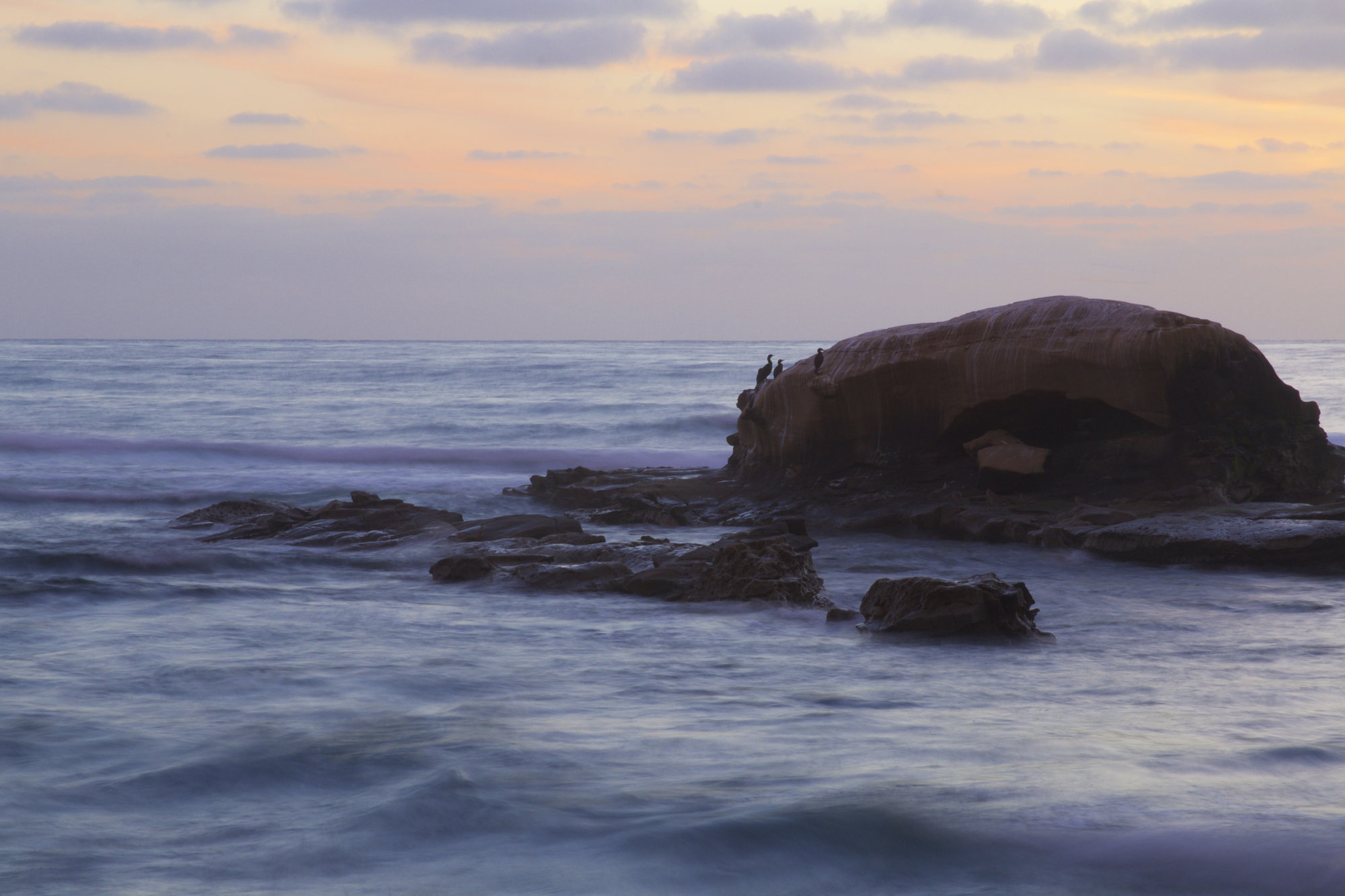 Bird Rock IMG_2783 JFack Productions